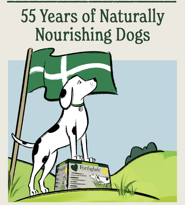 June Woofington Post