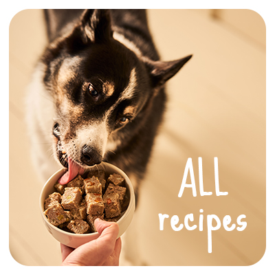 All recipes