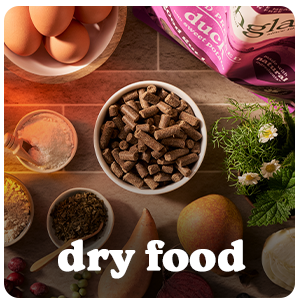 Dry Food