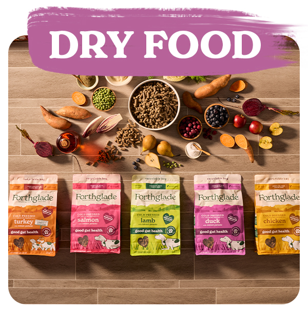Shop Dry Dog Food