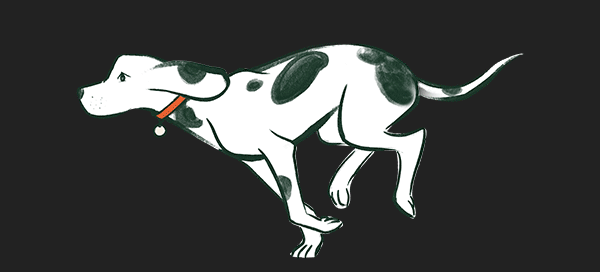 Black Friday sale is now live!