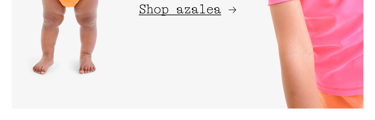 Shop azalea →