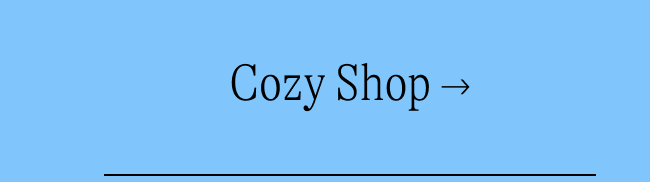 cozy shop