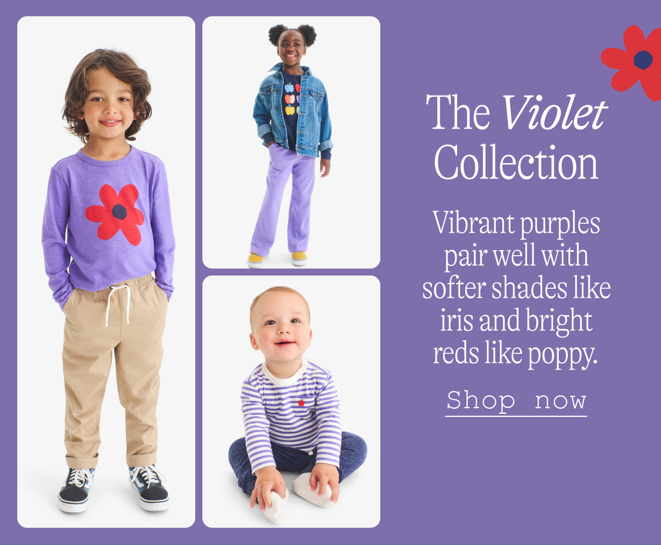 The Violet Collection: Vibrant purples pair well with softer shades like iris and bright reds like poppy.