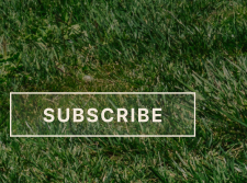 Subscribe