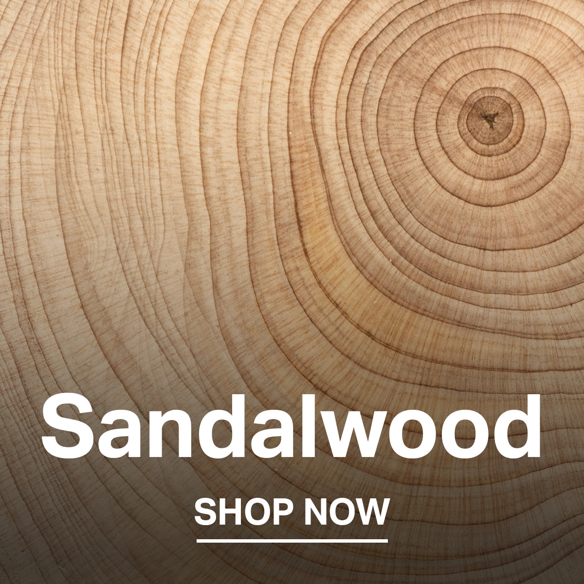Shop Sandalwood