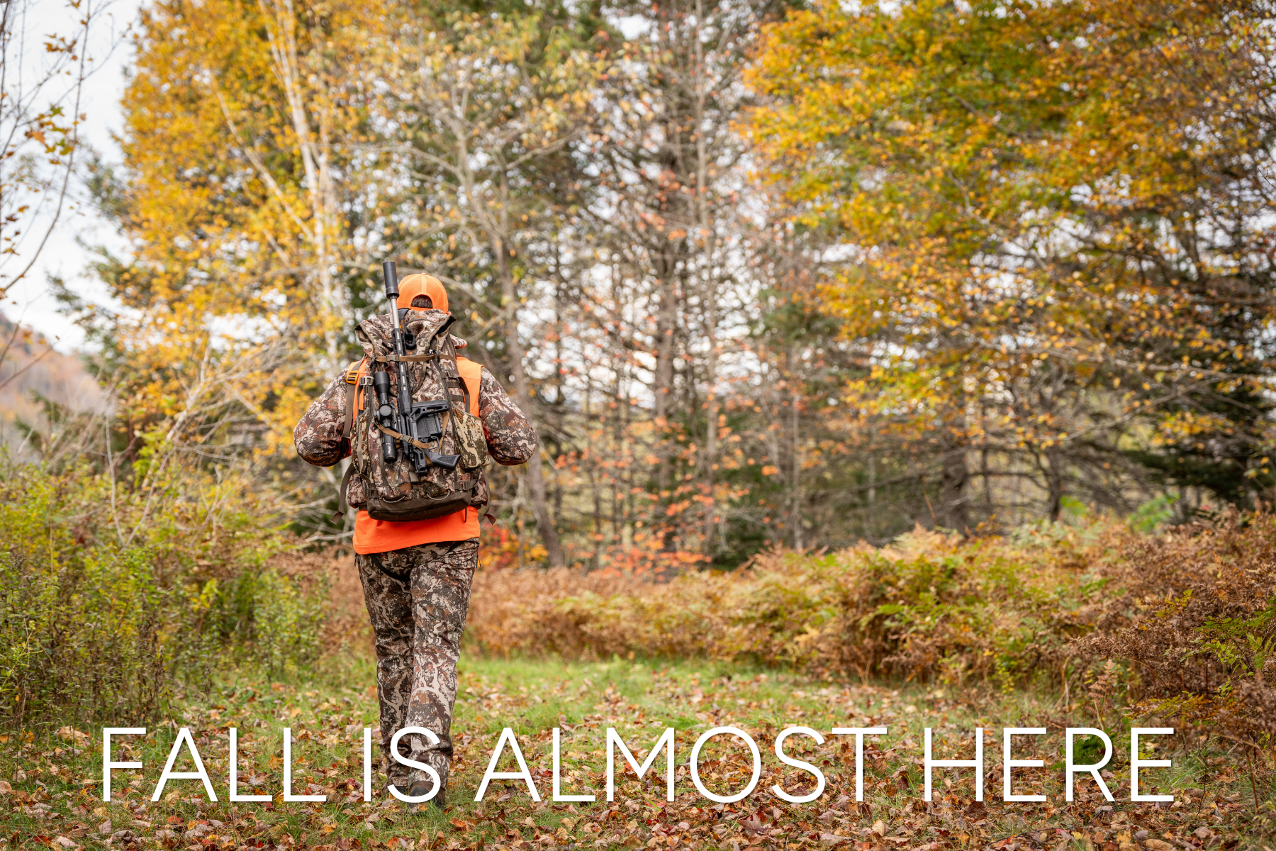Hunting Season Hunting Season