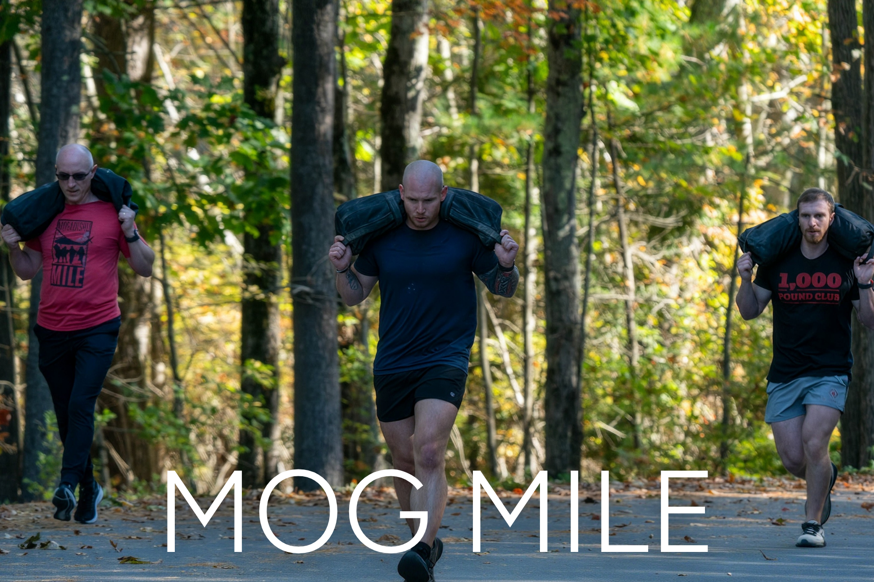 MOG MILE MOG MILE