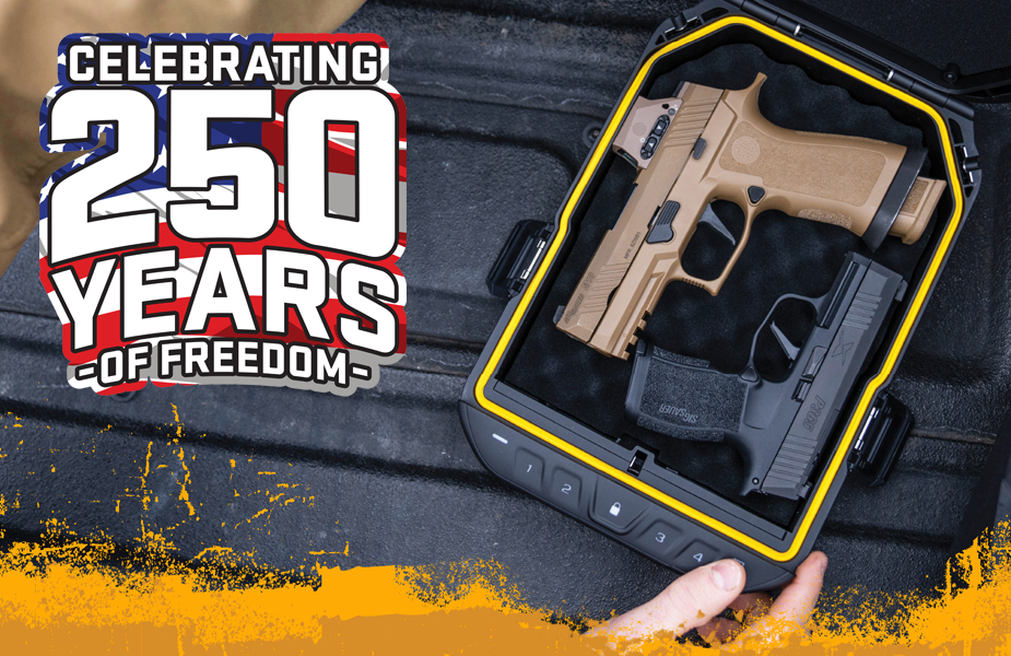 Vaultek Consumer Promotion