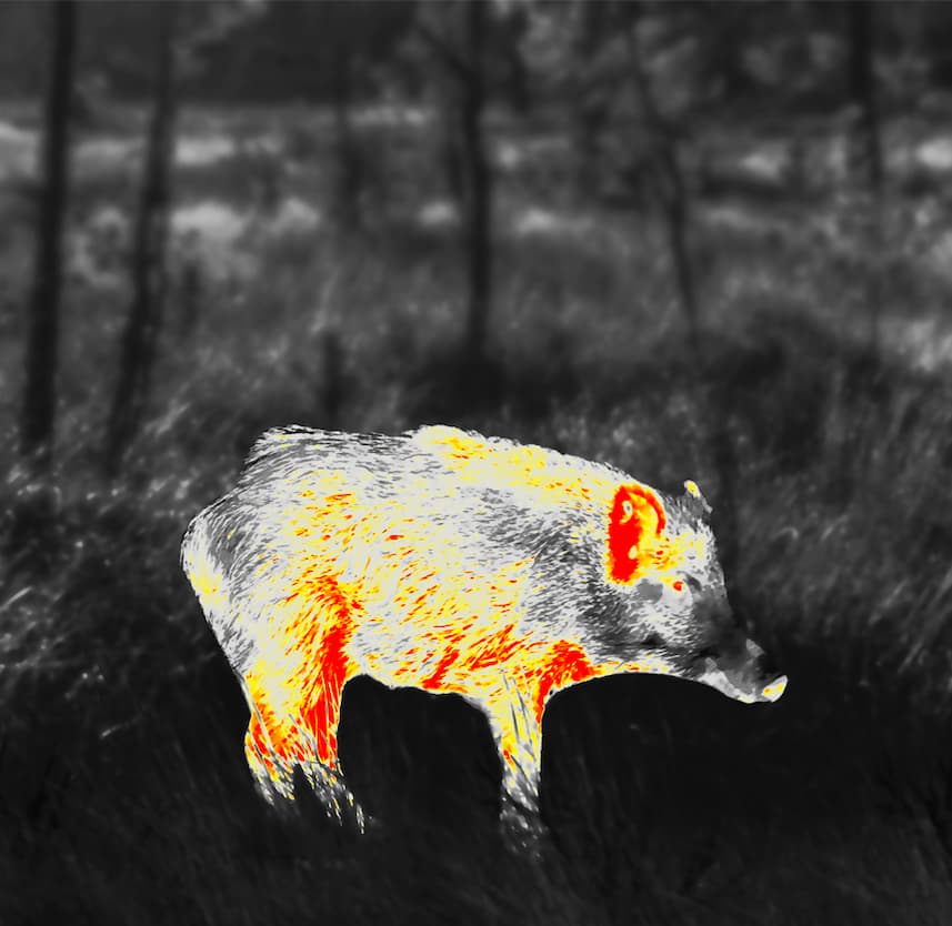 ECHO Thermal Monoculars