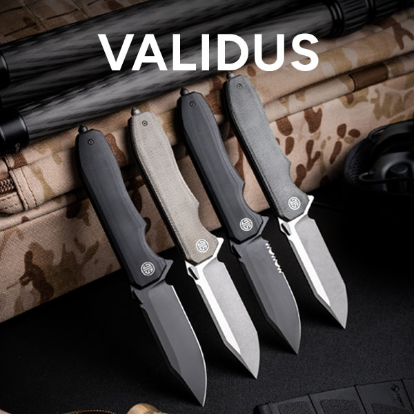 Validus