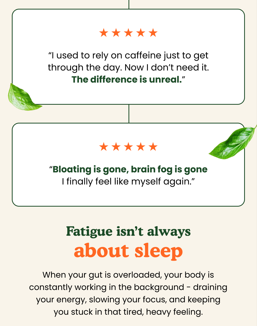 Gentle herbal formulas made for everyday support and peace of mind