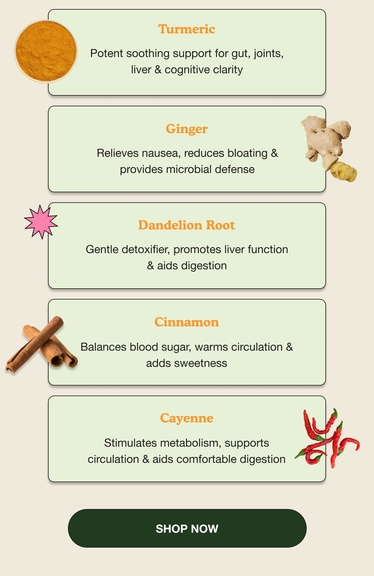 Tumeric | Potent soothing support for gut, joints, liver and cognitive clarity | Ginger | Relieves nausea, reduces bloating & provides microbial defense | Dandelion Root | Gentle detoxifier, promotes liver function & aids digestion | Cinnamon | Balances blood sugar, warms circulation and adds sweetness | Cayenne | Stimulates metabolism, supports circulation & aids comfortable digestion | Shop Now 