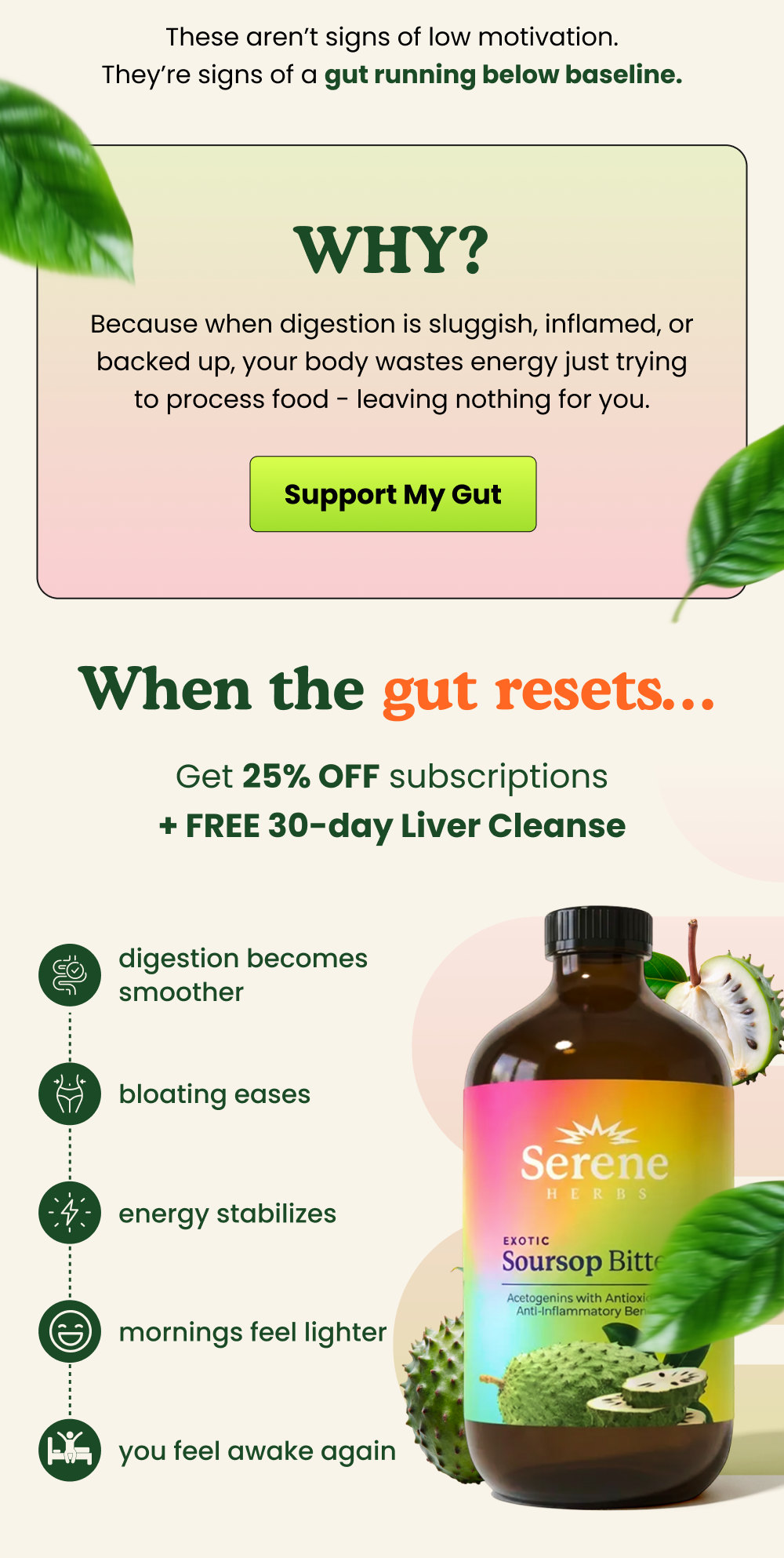 Boosts immune resilience with natural compounds