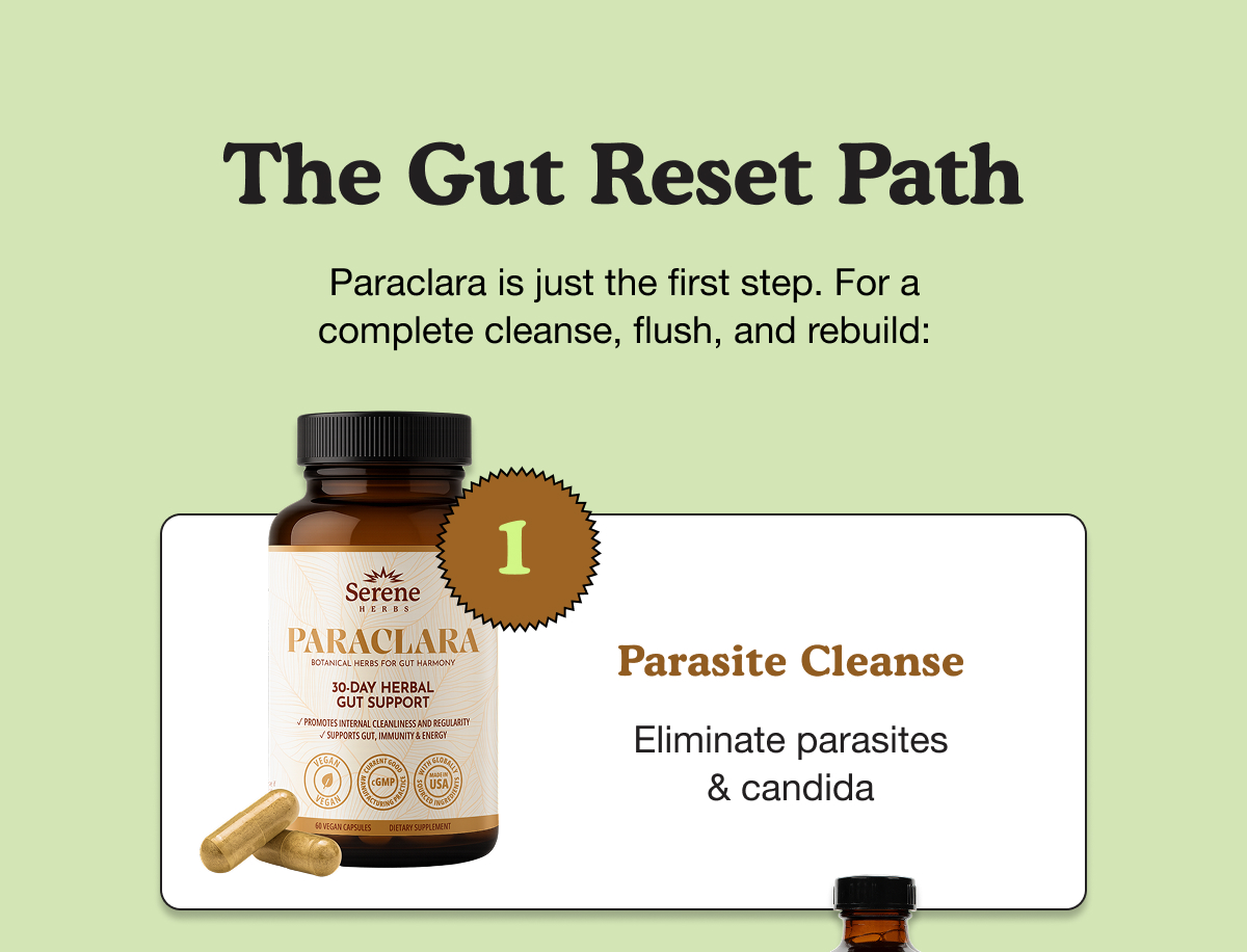 The Gut Reset Path