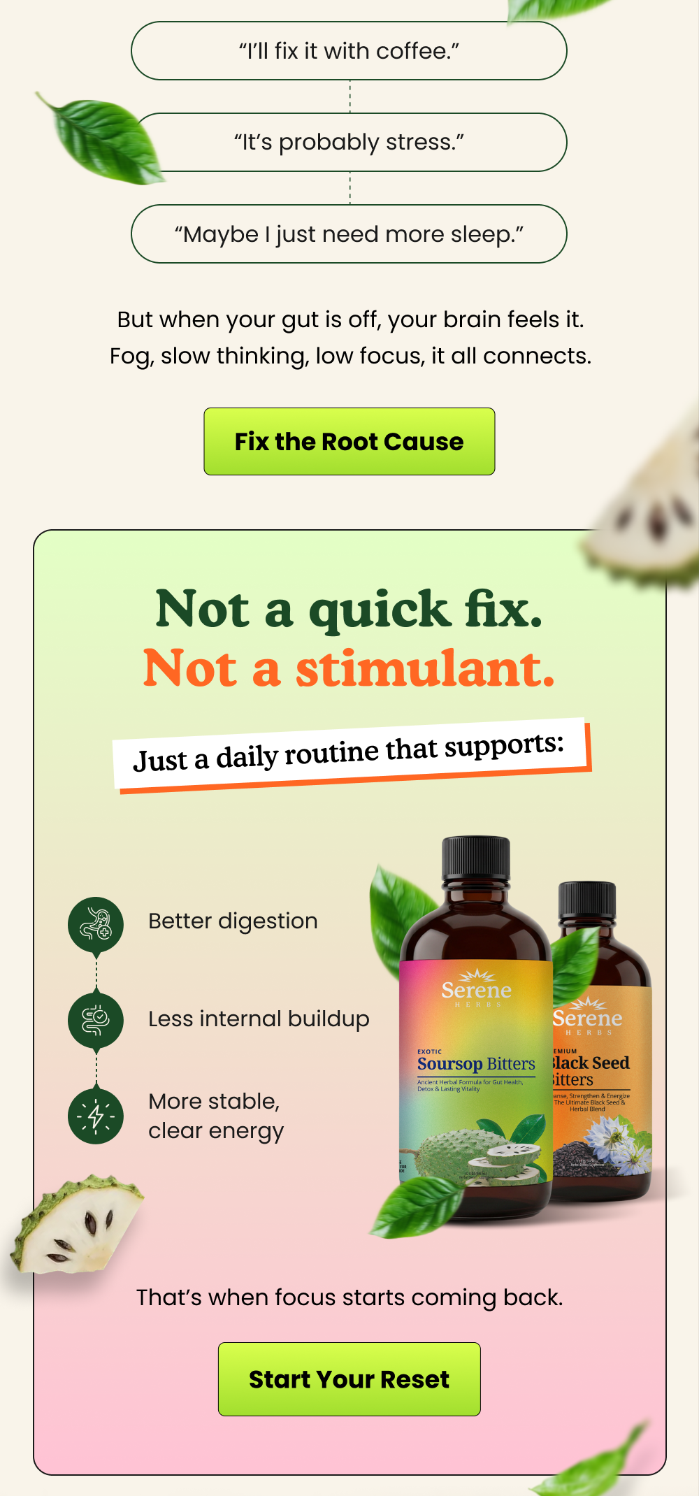 Helps reduce bloating and improve digestion naturally