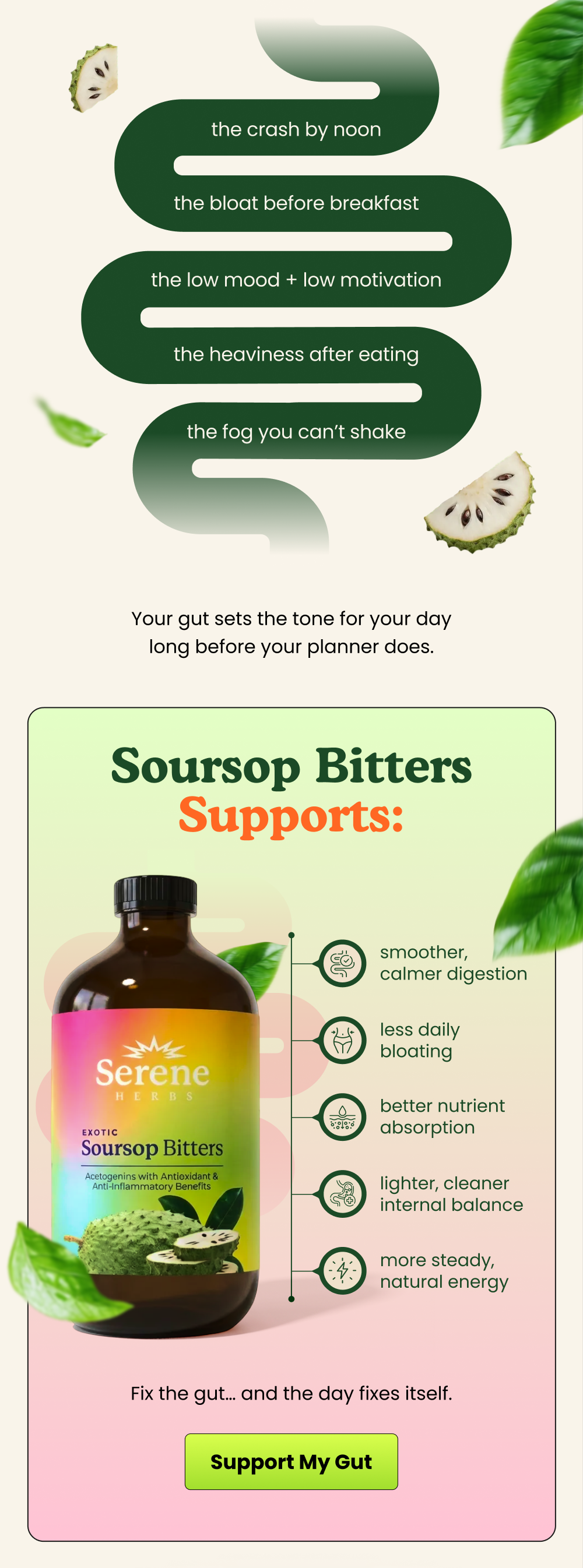 Gentle herbal formulas made for everyday support and peace of mind