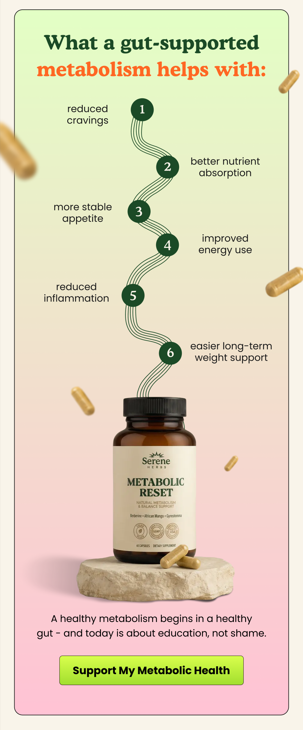 Gentle herbal formulas made for everyday support and peace of mind