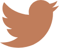 X account