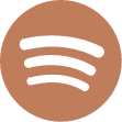 Spotify account