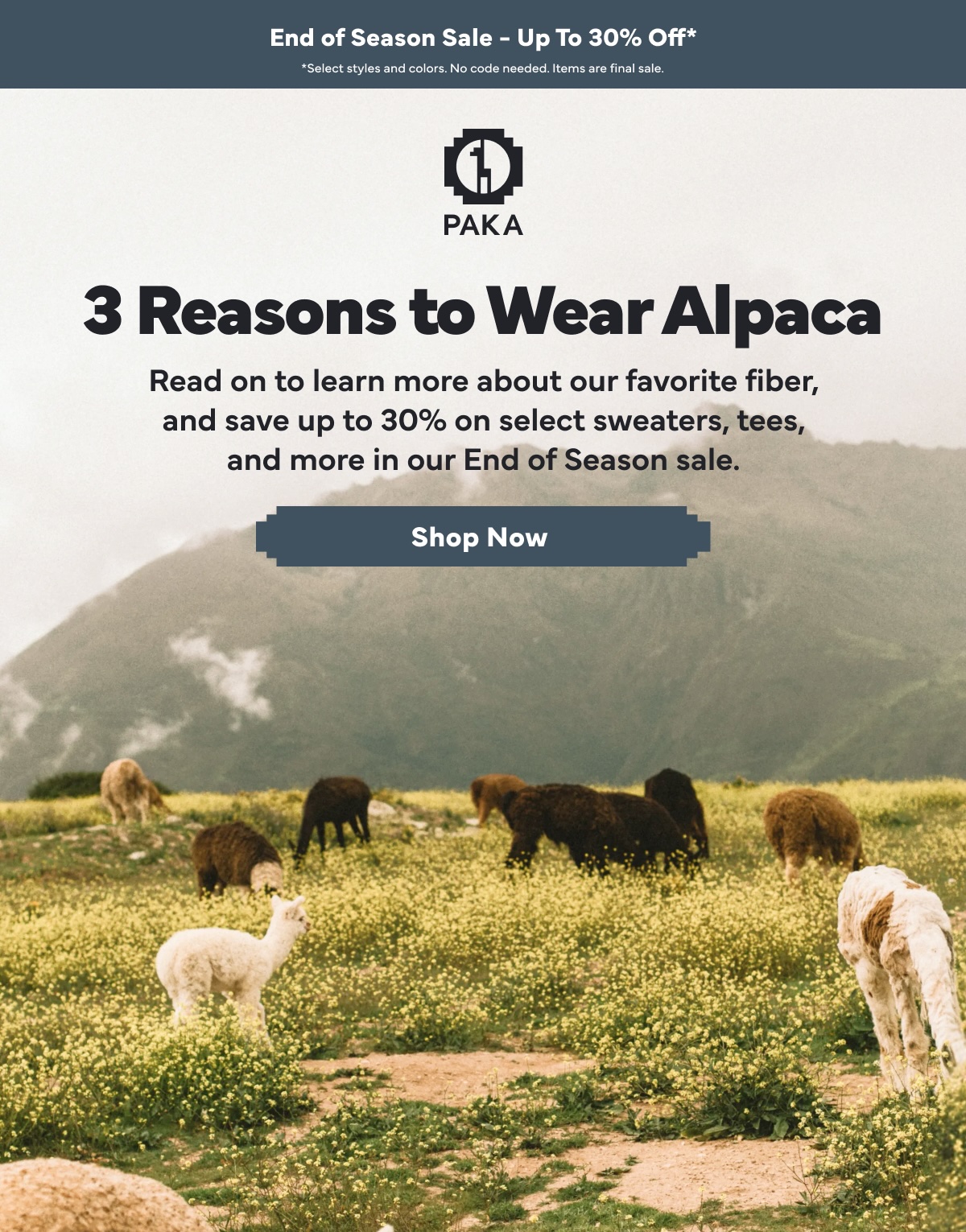 3 Reasons to Wear Alpaca - Up to 30% Off