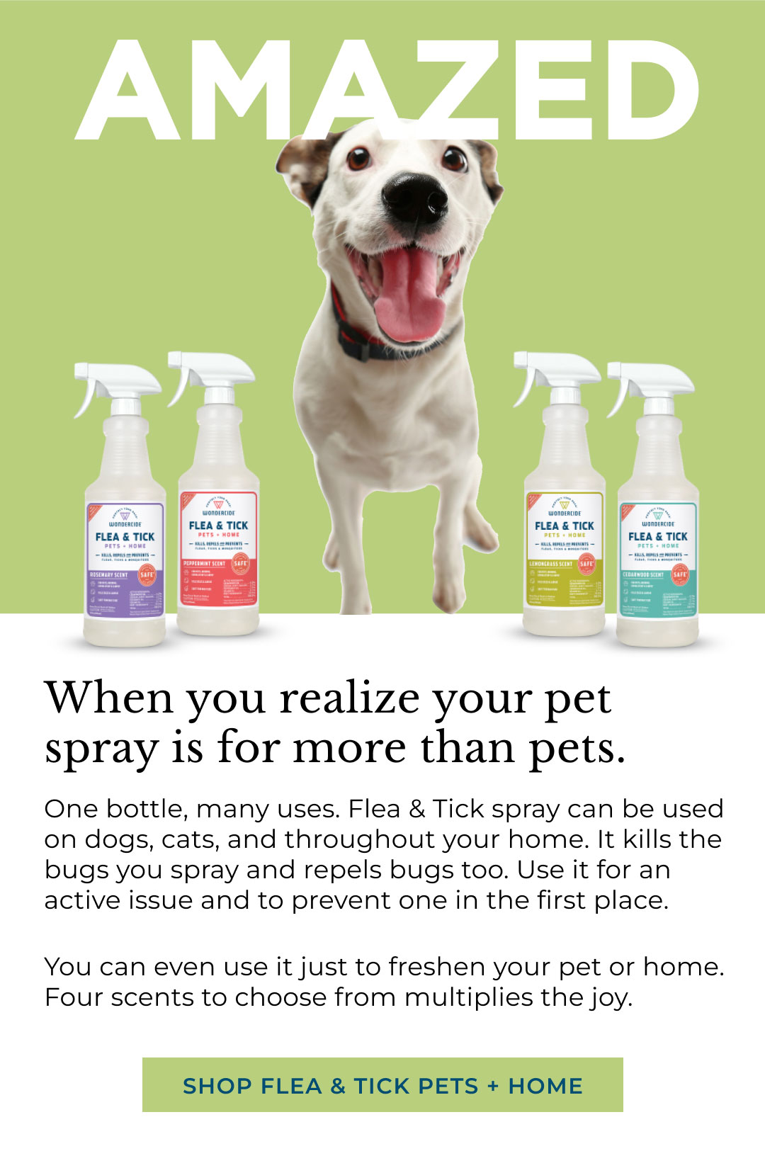 Fruit Fly Trap 🪰 It works! Wondercide