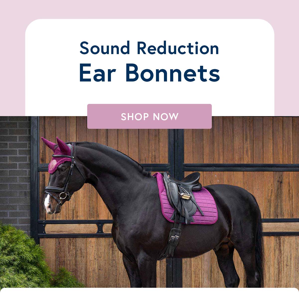 NEW Sound Reduction Ear 🐴 Caribu Horse Wear