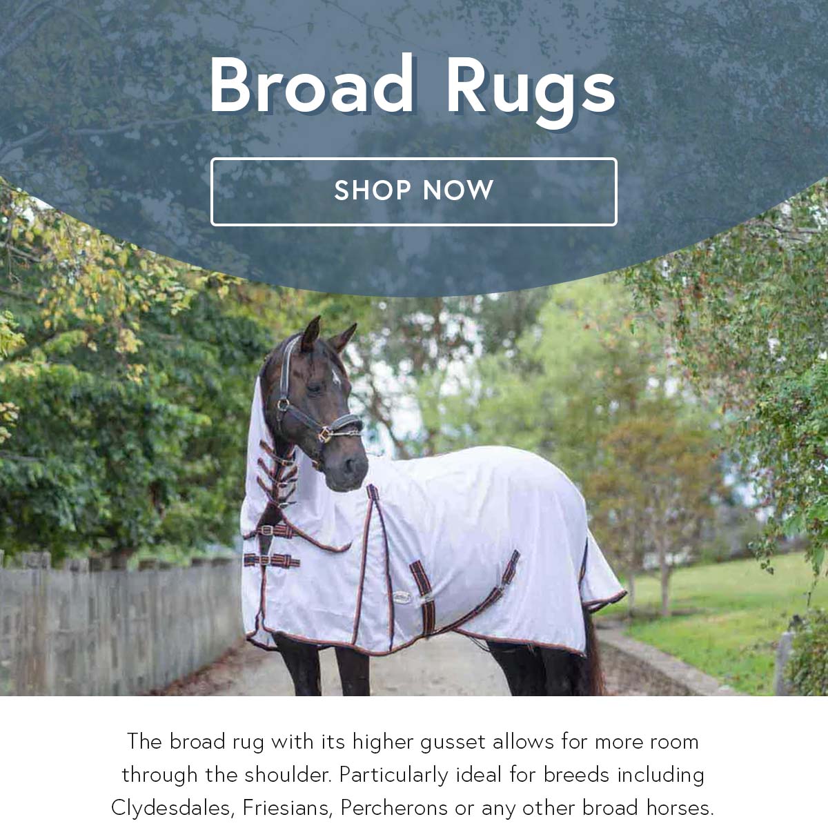 Our Range Of Broad Rugs 🐴 Caribu Horse Wear
