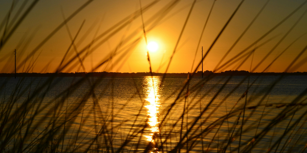 Sunshine State Secrets: Six Crime Fiction Books Set in Florida