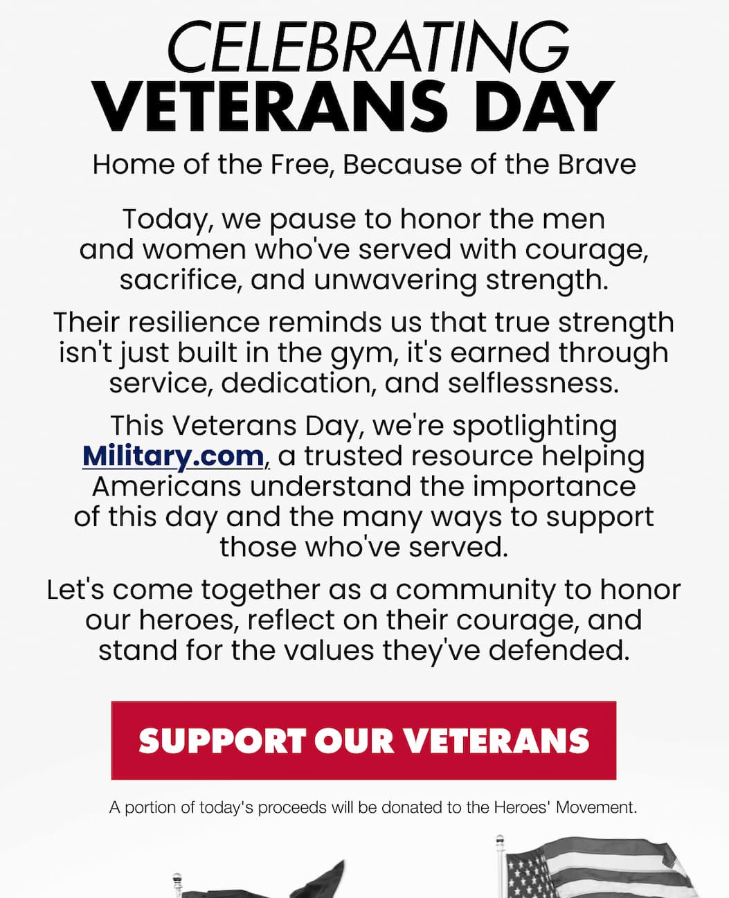 Celebrating Veterans Day 