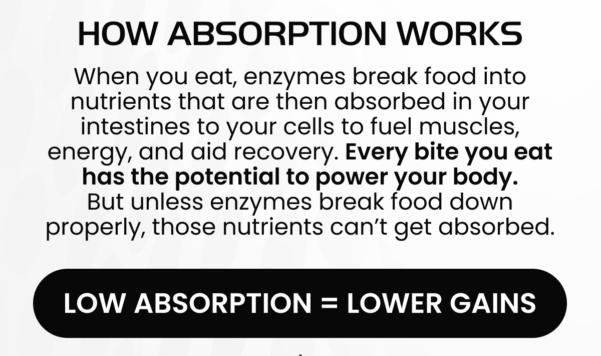 HOW ABSORPTION WORKS