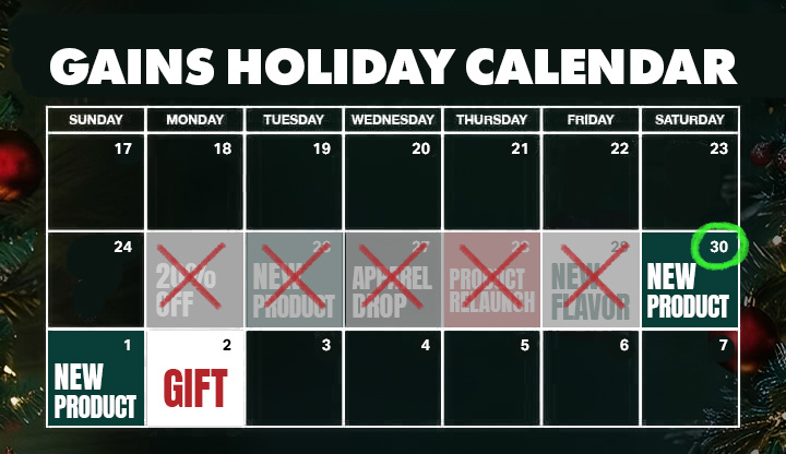 GAINS HOLIDAY CALENDAR