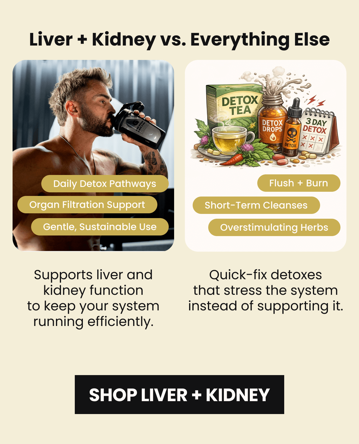 SHOP LIVER + KIDNEY