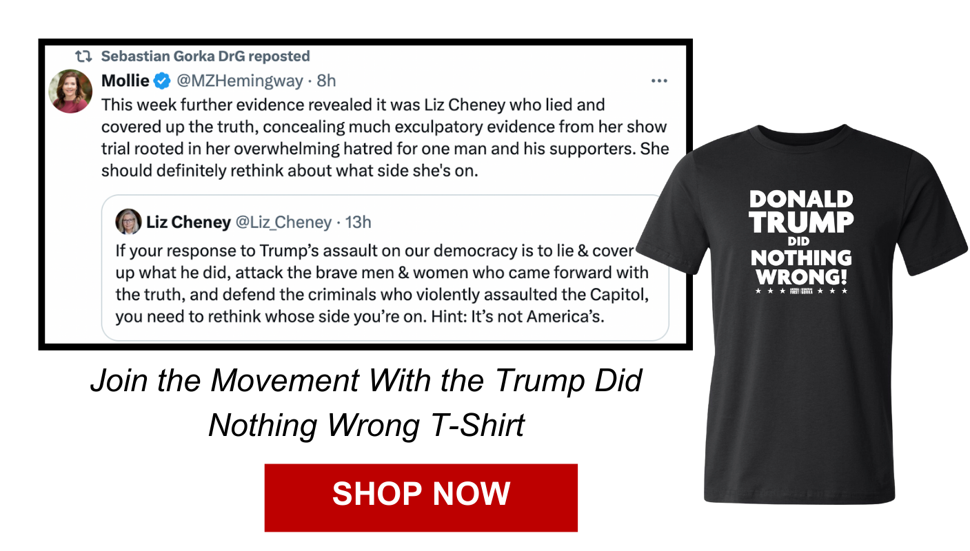 Trump Did Nothing Wrong