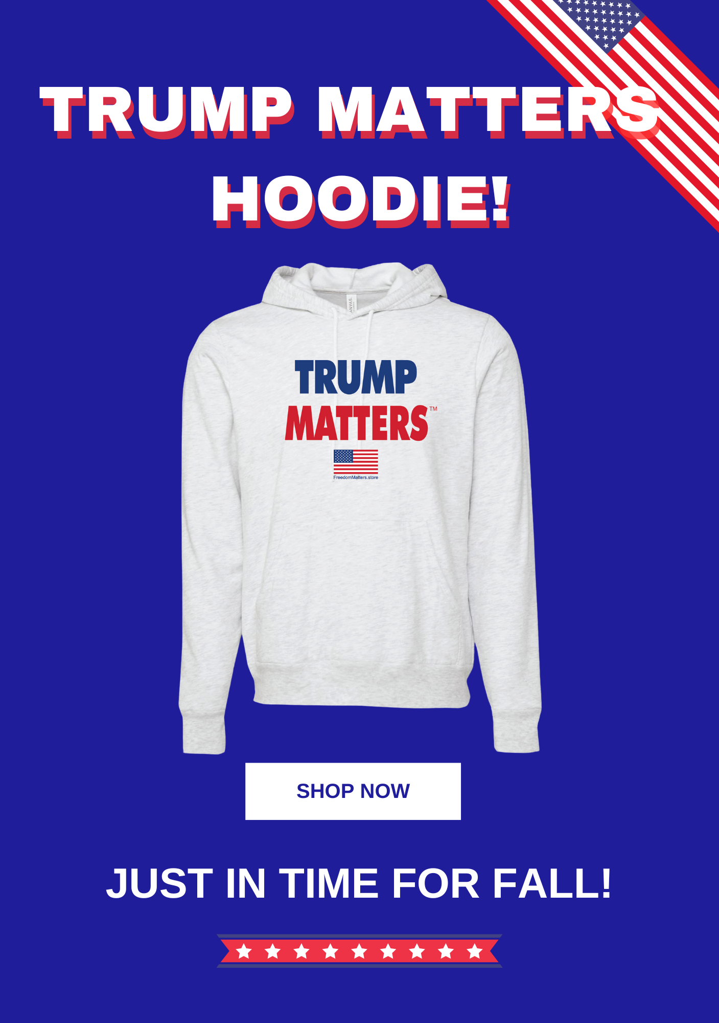 Trump Matters Hoodie