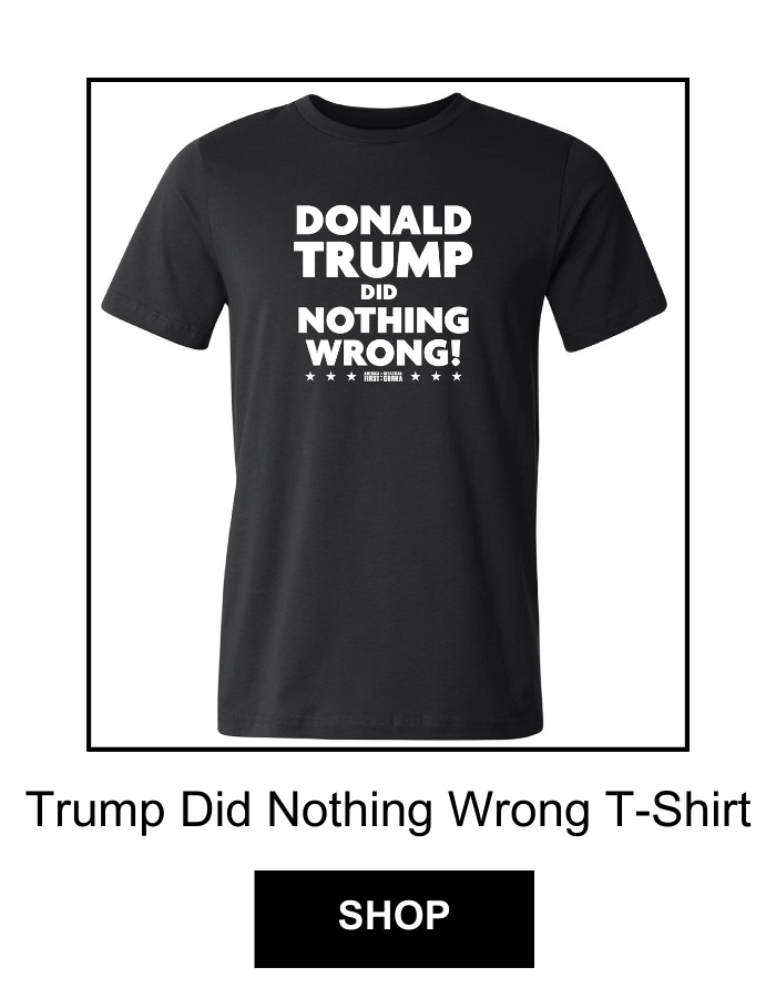Trump did nothing wrong