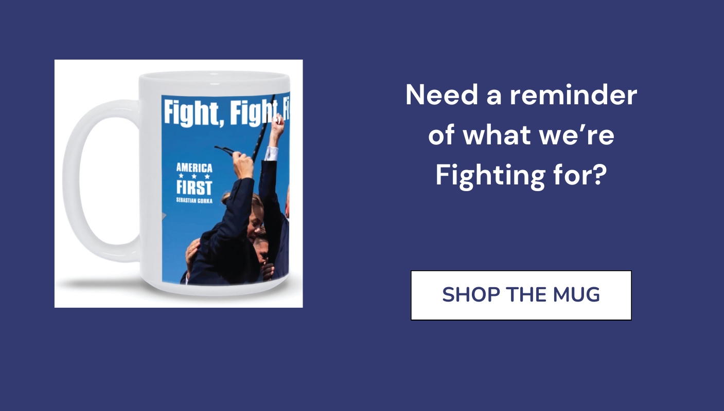 Need a reminder of what were fighting for?