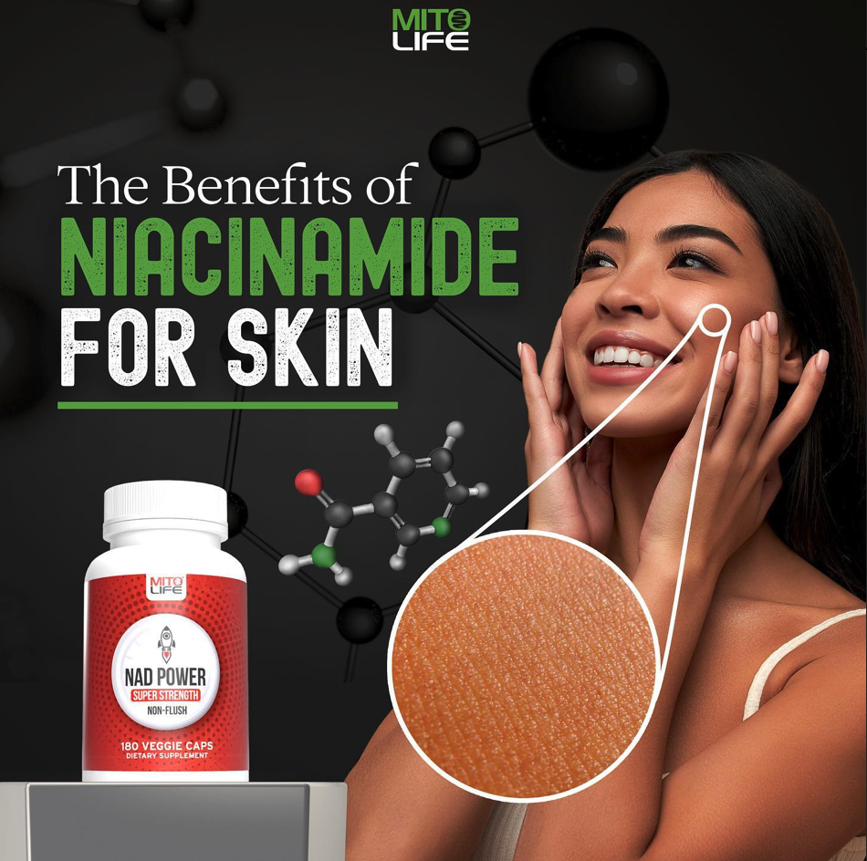 How to Support Collagen Synthesis Mitolife