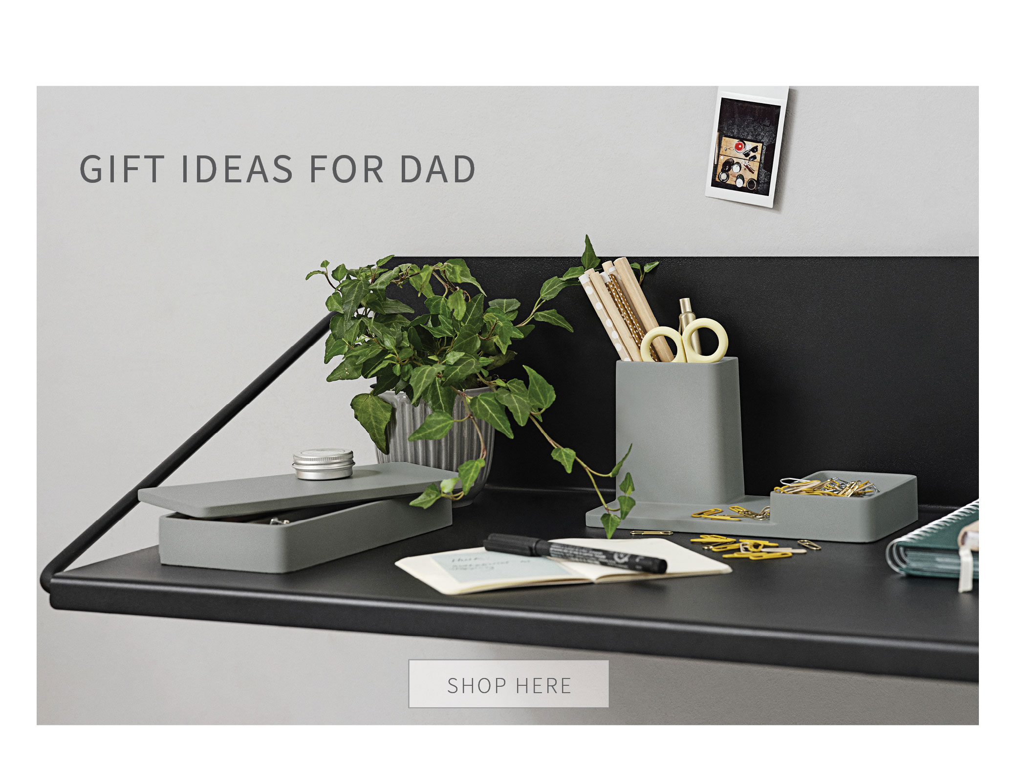 Our much loved Dawson has a new colour Papaya Homewares