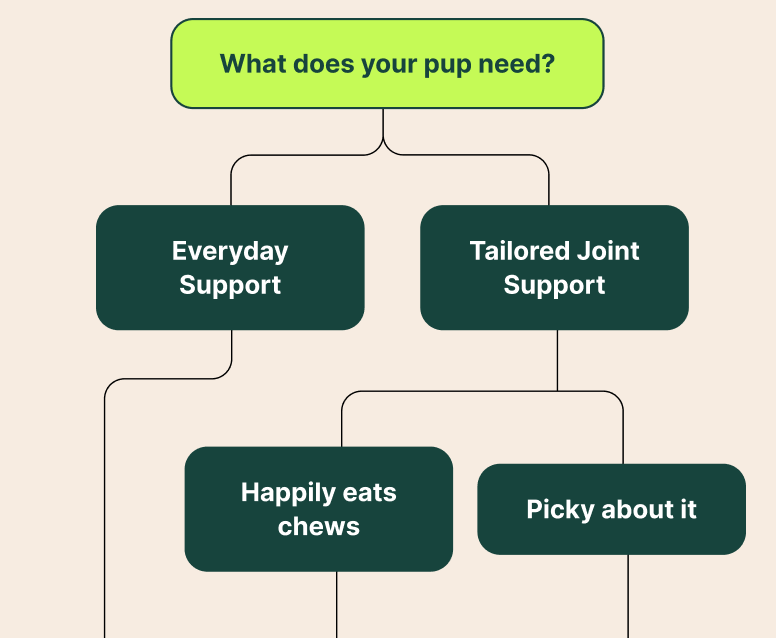 What Does Your Pup Need? Everyday Support or Tailored Joint Support? Happily eats chews or picky about it?
