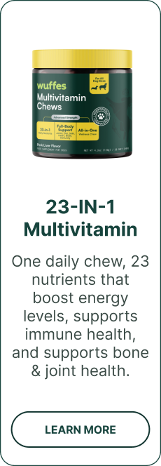 multivitamin 23-in-1 | One daily chew, 23 nutrients that boost energy levels, supports immune health, and supports bone & joint health.