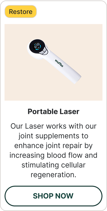 Shop Portable Laser