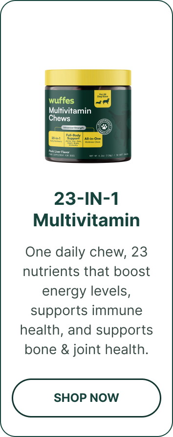 multivitamin 23-in-1 | One daily chew, 23 nutrients that boost energy levels, supports immune health, and supports bone & joint health.