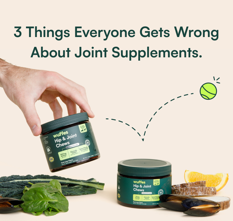 3 Things Everyone Gets Wring About Joint Supplements