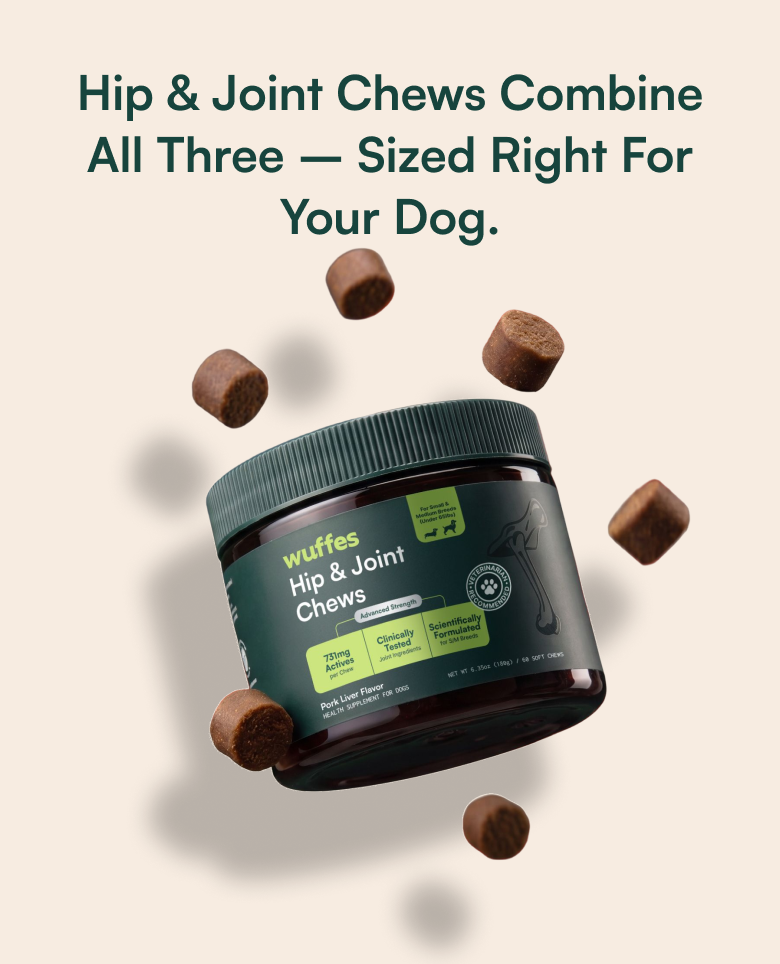 Hip & Joint Chews combine all three – sized right for your dog.