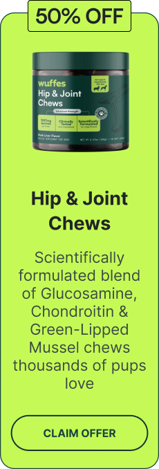 Hip & Joint Chews | Scientifically formulated blend of Glucosamine, Chondroitin & Green-Lipped Mussel chews thousands of pups love