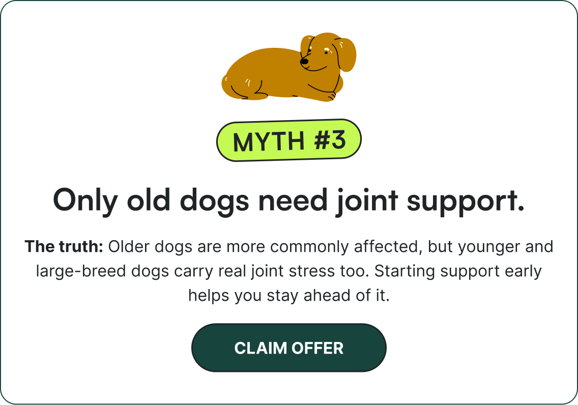 Myth 3: only old dogs need joint support