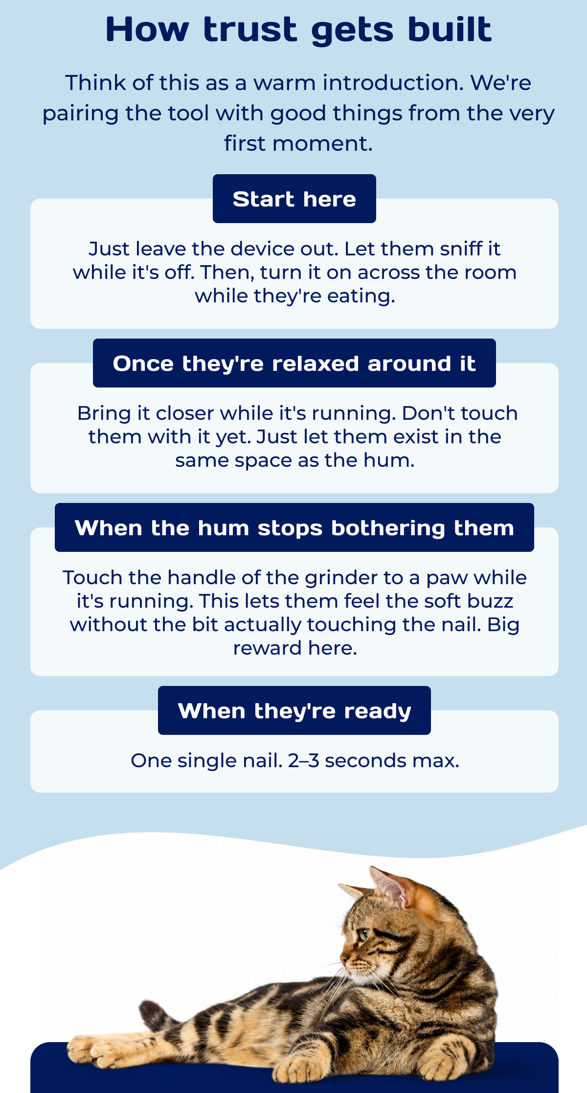 HOW TRUST GETS BUILT  Think of this as a warm introduction. We're pairing the tool with good things from the very first moment.  Start here  Just leave the device out. Let them sniff it while it's off. Then, turn it on across the room while they're eating.   Once they're relaxed around it    Bring it closer while it's running. Don't touch them with it yet. Just let them exist in the same space as the hum.  When the hum stops bothering them   Touch the handle of the grinder to a paw while it's running. This lets them feel the soft buzz without the bit actually touching the nail. Big reward here.  When they're ready   One single nail. 2–3 seconds max.