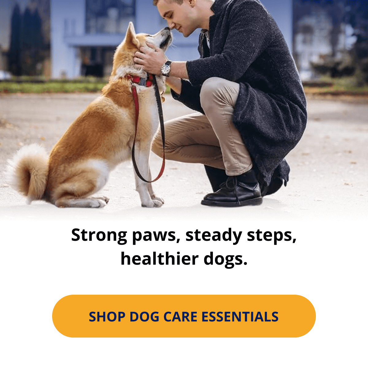 Strong paws, steady steps, healthier dogs.