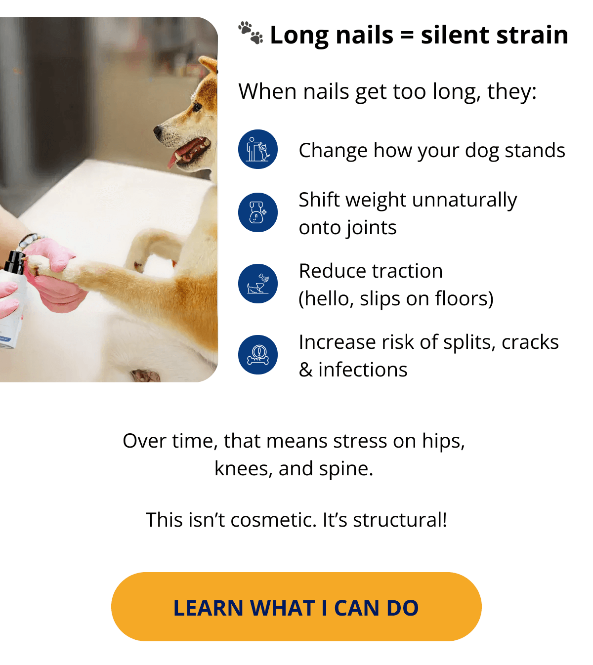 🐾 Long nails = silent strain When nails get too long, they: